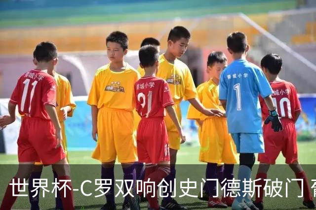 世界杯-C罗双响创史门德斯破门 葡萄牙半场3-0乌兹别克