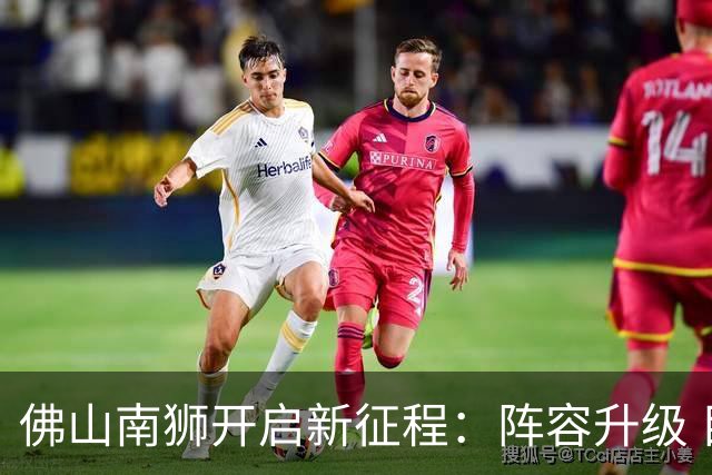 佛山南狮开启新征程：阵容升级 目标中甲前八