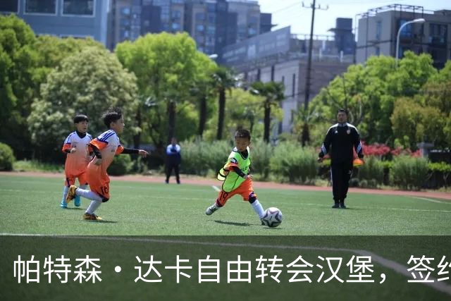帕特森·达卡自由转会汉堡，签约至2027年