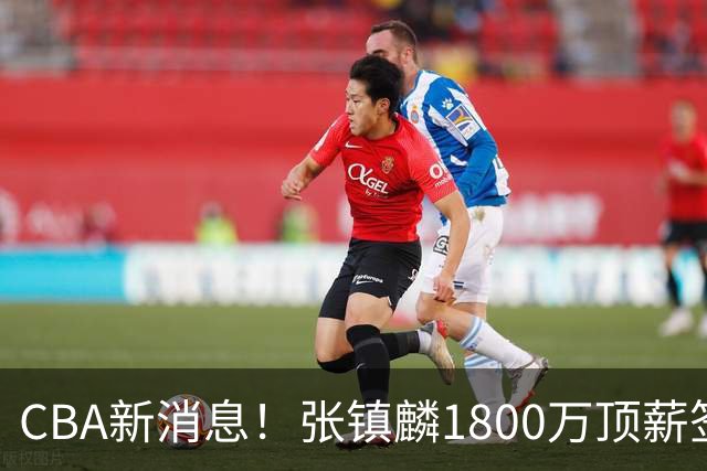 CBA新消息！张镇麟1800万顶薪签约，范子铭主动申请交易加盟劲旅